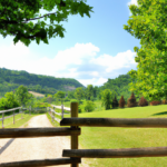 수원오피를 방문할때 잘 알아봐야하는 이유 - 수원오피 방문 전 꼭 알아야 할 필수 정보와 팁